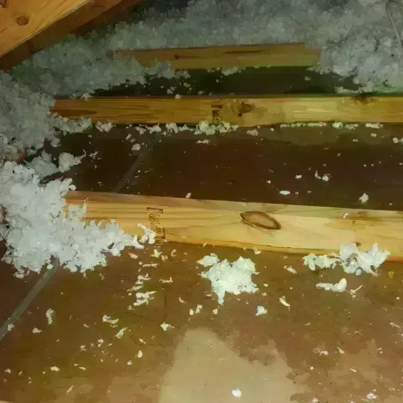 Attic Water Damage in Fulton, IL