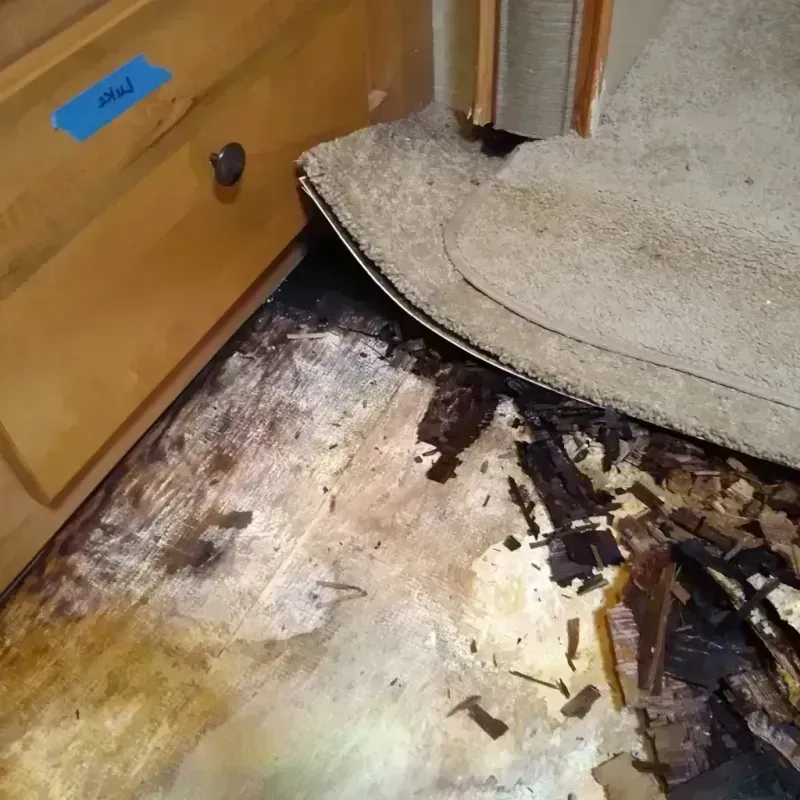 Best Wood Floor Water Damage Service in Fulton, IL